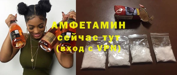 твердый Арсеньев