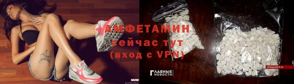 молекула духа Аркадак