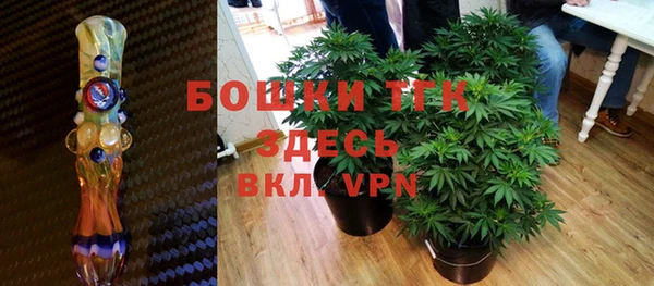 твердый Арсеньев
