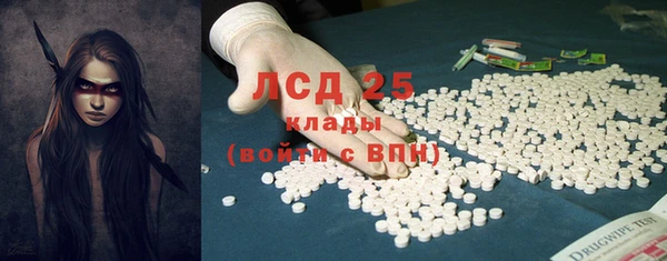 твердый Арсеньев