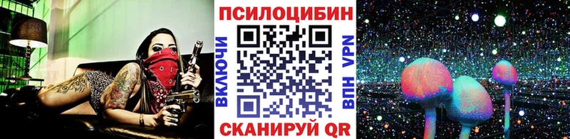 Псилоцибиновые грибы Cubensis Новая Ладога